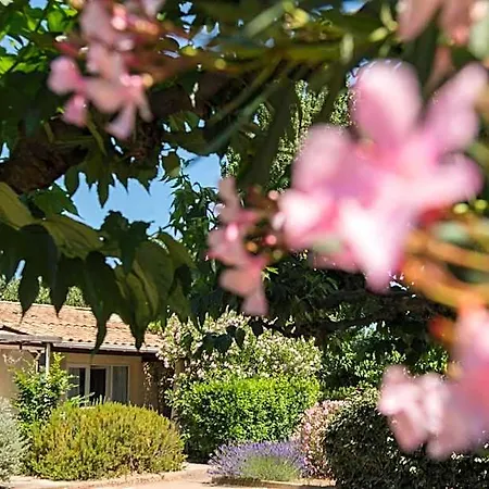 Sowell Les Jardins Du Cap Agde